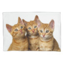 Search for best friend pillowcases Animal