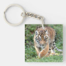 Search for predator key rings Nature