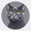 Search for russian blue cats stickers Animal
