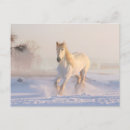 Search for horse run postcards Snow