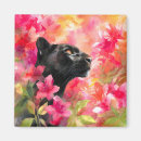 Search for black panther magnets Wildlife