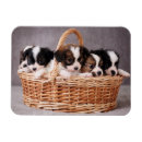 Search for basket magnets Beautiful