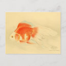 Search for vintage goldfish postcards Asian