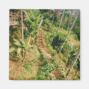 Search for bali magnets Asia