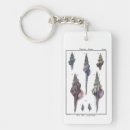 Search for seashells key rings Sea life
