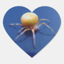 Search for orb photography Wildlife