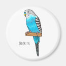 Search for illustrator magnets Bird