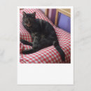 Search for pets 4x6 invitations Cute