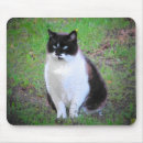 Search for chubby mouse mats Fat