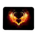 Search for angel magnets Wings