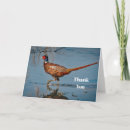 Search for pheasant cards Ring necked pheasant
