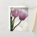 Search for ivory vertical postcards Nature