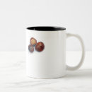 Search for conkers Nature