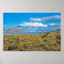 Search for patagonia posters Mountain