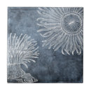 Search for anemone tiles Ocean
