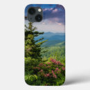 Search for mountain sunrise cases Forest