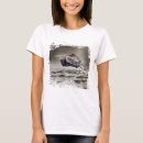 Search for herons Wildlife