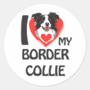 Search for herding dog stickers Border collie
