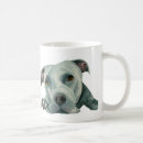 Search for pit bull dog mugs Dogs