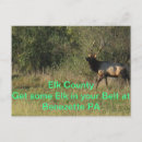 Search for awesomeness postcards Wildlife