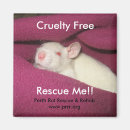 Search for cruelty magnets Animals