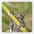 Search for captivating stickers Nature