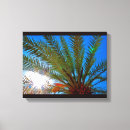 Search for sunny canvas prints Palm