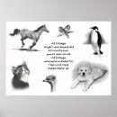 Search for pencil drawing posters Animals