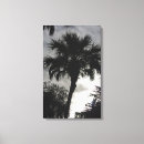 Search for palm springs canvas prints Tropical