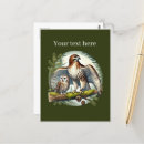 Search for bird lovers postcards Owl