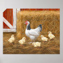 Search for chick posters Baby chicks