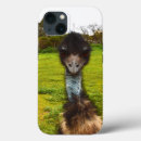 Search for emu iphone cases Wildlife