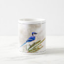 Search for winter birds mugs Green