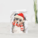 Search for australian shepherds cards Pets
