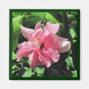 Search for raindrop magnets Floral