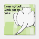 Search for ferret magnets Pet