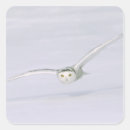 Search for winter owl stickers Bird of prey