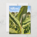 Search for common vertical postcards Butterfly