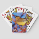 Search for birdnerd Ornithology