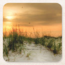 Search for coastal coasters Photography