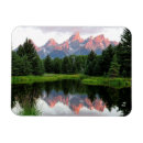 Search for reflective magnets Nature