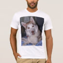 Search for huskies clothing Siberian