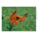 Search for butterfly weed postcards Butterflies