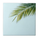 Search for palm tree tiles Tropical