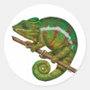 Search for reptile painting stickers Green