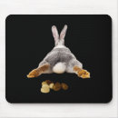 Search for bunny butt Cool