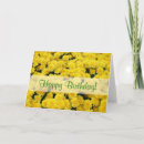 Search for cute sympathy cards Yellow