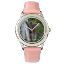 Search for koala watches Tree