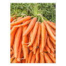 Search for orange carrot posters Vegan