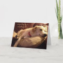 Search for dog get well cards Sleeping